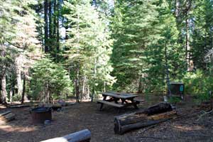 environmental campsite in Big Trees State Park