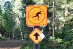 Nordic ski sign in Big Trees State Park, CA