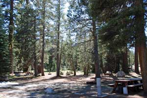 campsite in Silvertip Campground near Lake Alpine, California