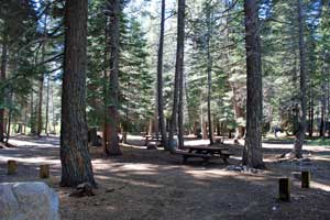 campsite at Stanislaus River campground