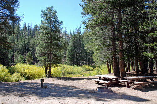 Bloomfield Campground, Ebbetts Pass, California