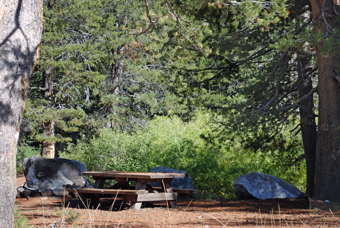 Hermit Valley campsite, Humboldt-Toiyabe National Forest, California
