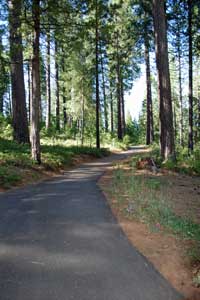 Arnold Rim Trail, White Pines Lake, CA