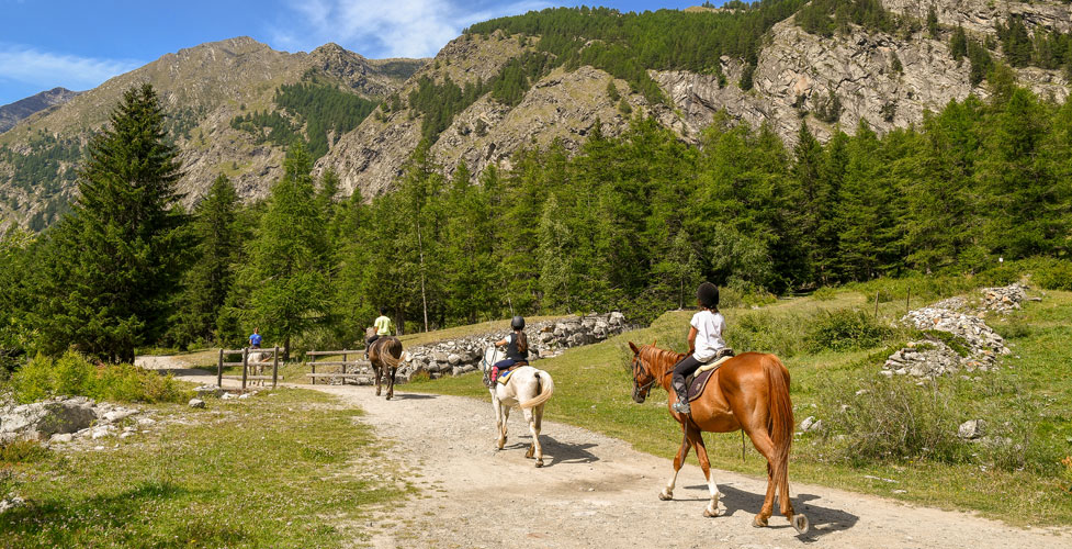 horseback riders on mountain trail